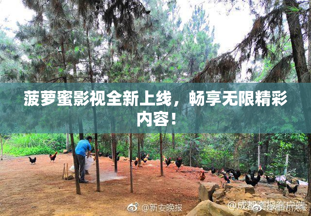 菠萝蜜影视全新上线，畅享无限精彩内容！