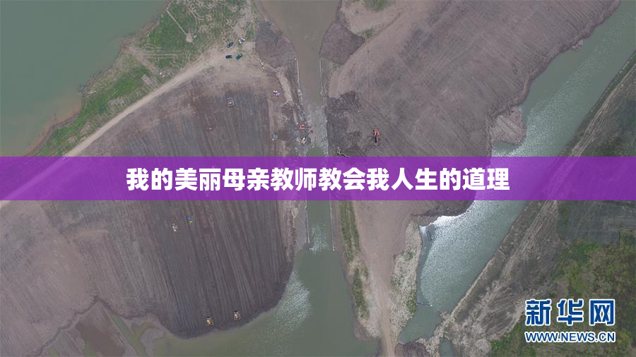 我的美丽母亲教师教会我人生的道理