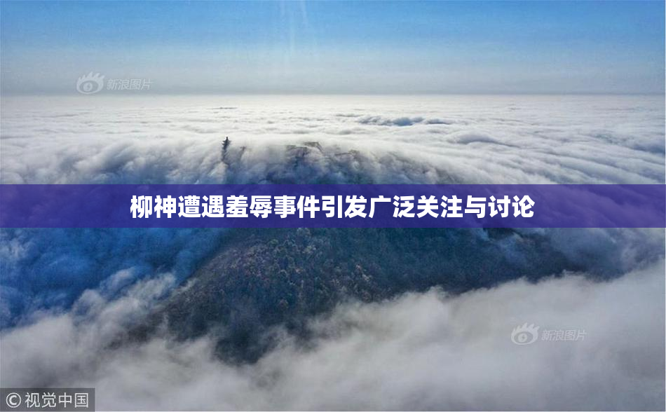 柳神遭遇羞辱事件引发广泛关注与讨论