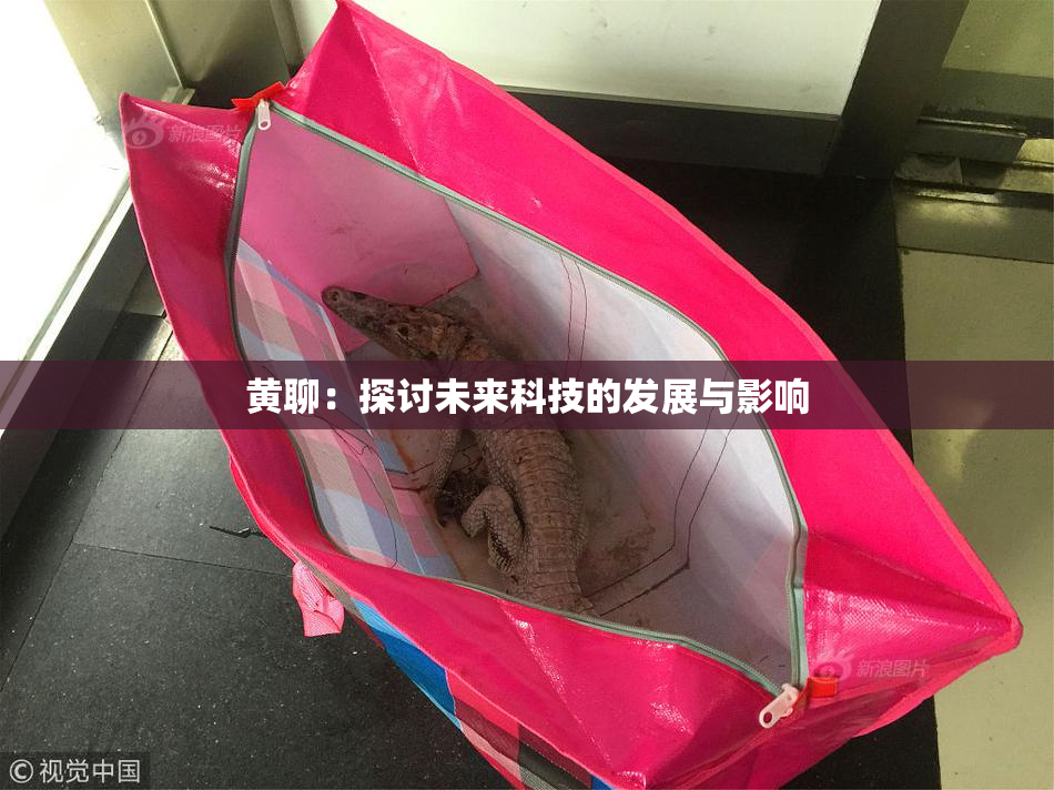 黄聊：探讨未来科技的发展与影响