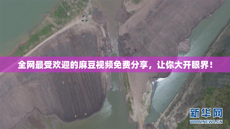 全网最受欢迎的麻豆视频免费分享，让你大开眼界！