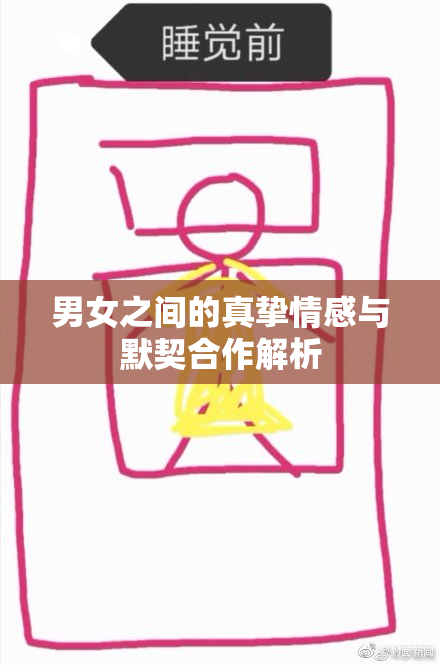 男女之间的真挚情感与默契合作解析