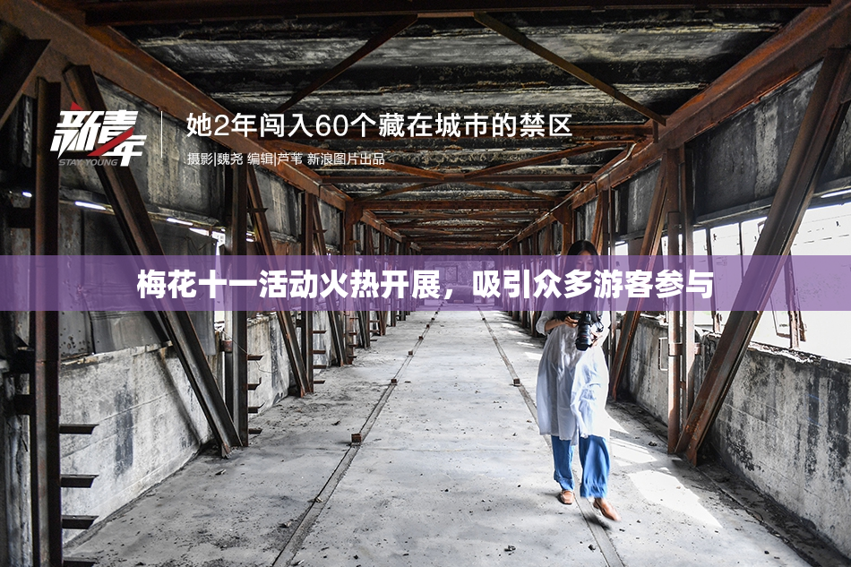 梅花十一活动火热开展，吸引众多游客参与