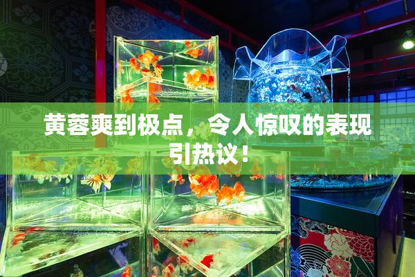 黄蓉爽到极点，令人惊叹的表现引热议！
