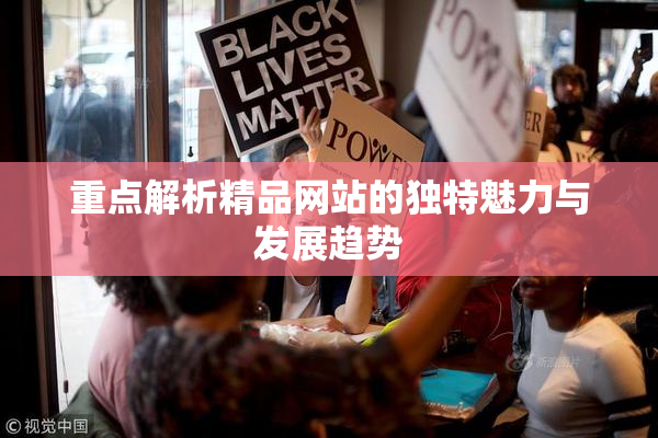 重点解析精品网站的独特魅力与发展趋势