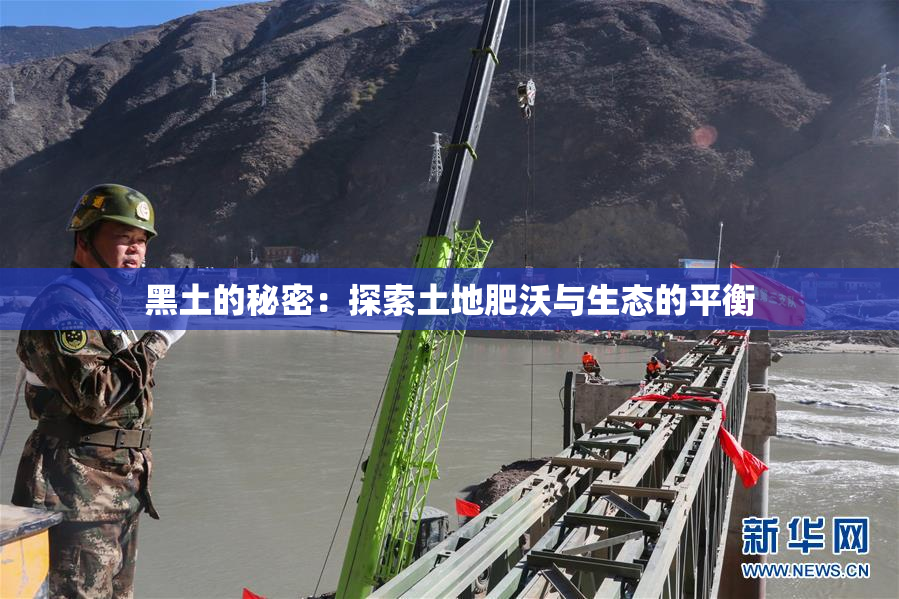 黑土的秘密：探索土地肥沃与生态的平衡