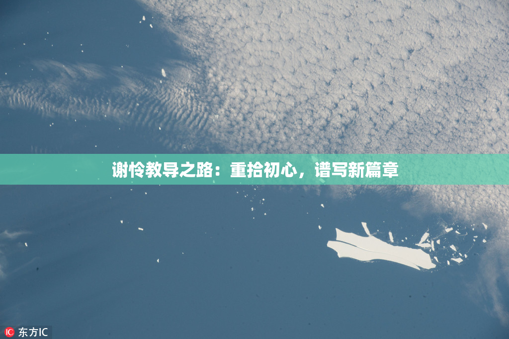 谢怜教导之路：重拾初心，谱写新篇章