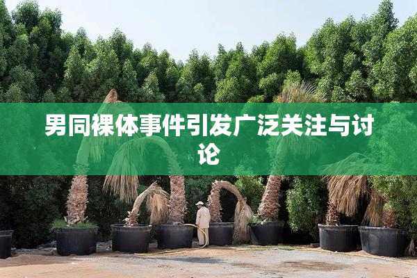 男同裸体事件引发广泛关注与讨论