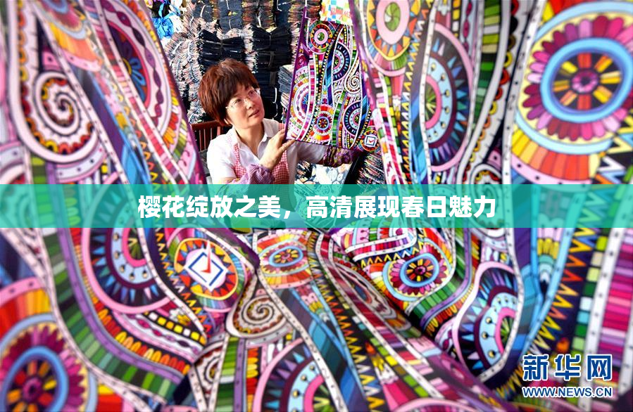 樱花绽放之美，高清展现春日魅力