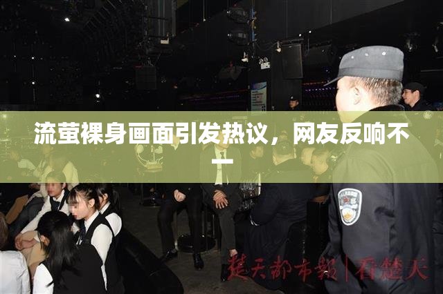 流萤裸身画面引发热议，网友反响不一