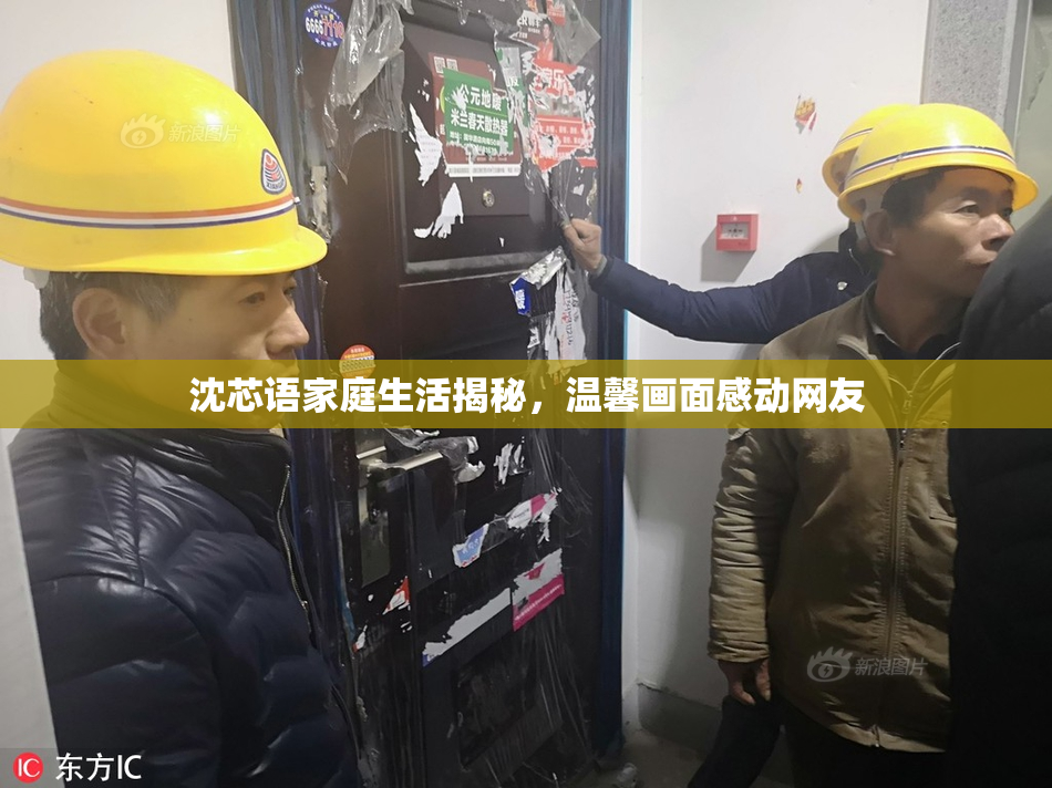 沈芯语家庭生活揭秘，温馨画面感动网友