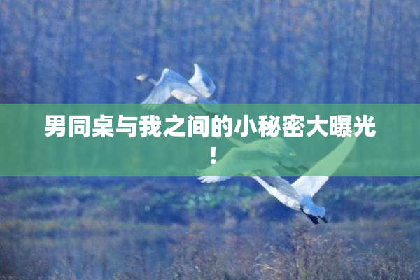 男同桌与我之间的小秘密大曝光！