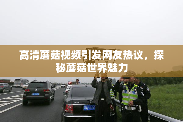高清蘑菇视频引发网友热议，探秘蘑菇世界魅力