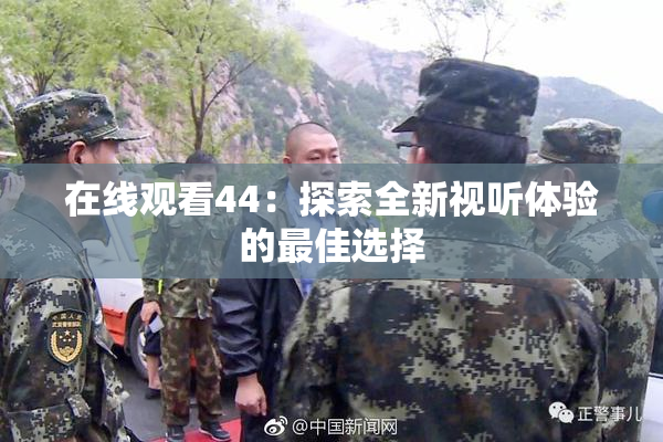 在线观看44：探索全新视听体验的最佳选择