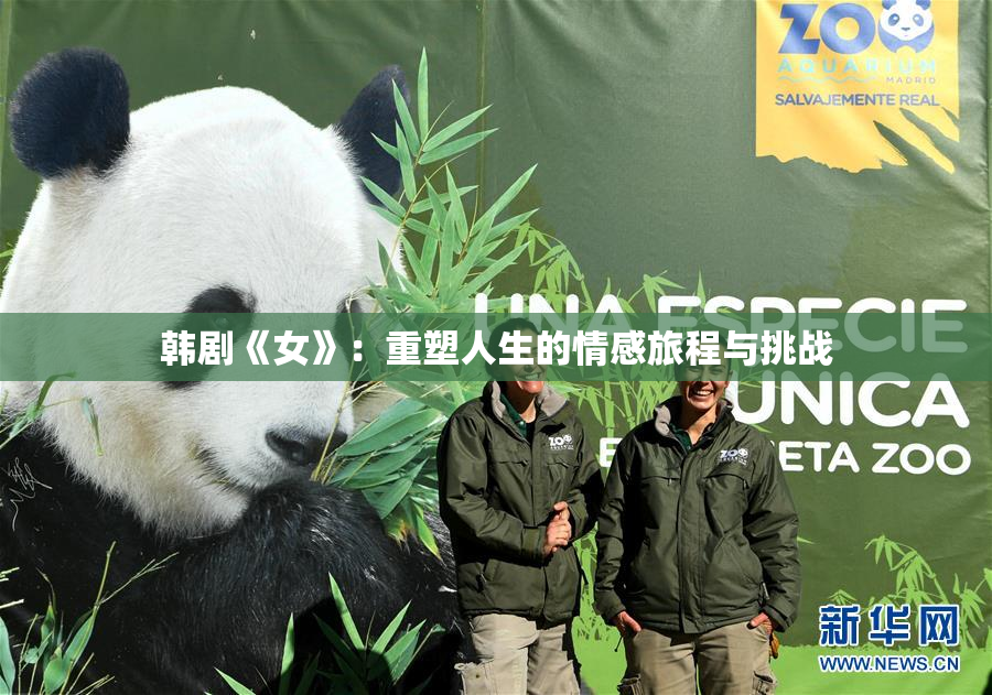 韩剧《女》：重塑人生的情感旅程与挑战