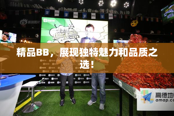 精品BB，展现独特魅力和品质之选！