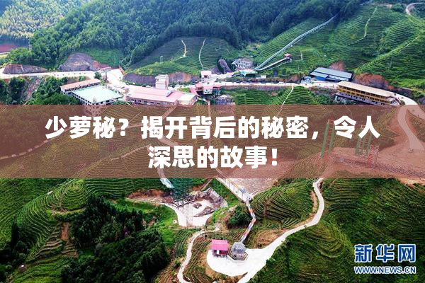 少萝秘？揭开背后的秘密，令人深思的故事！