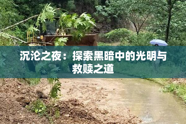 沉沦之夜：探索黑暗中的光明与救赎之道