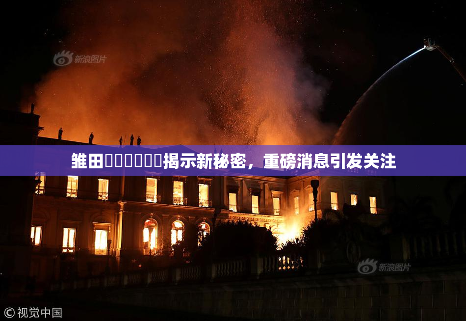 雏田❌‌❌‌❌‌揭示新秘密，重磅消息引发关注