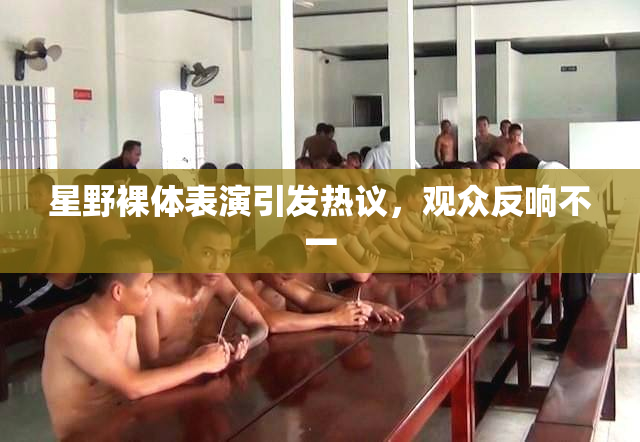 星野裸体表演引发热议，观众反响不一