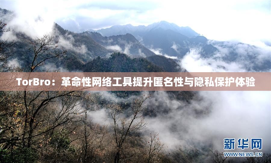 TorBro：革命性网络工具提升匿名性与隐私保护体验
