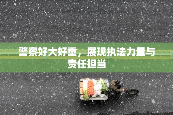 警察好大好重，展现执法力量与责任担当