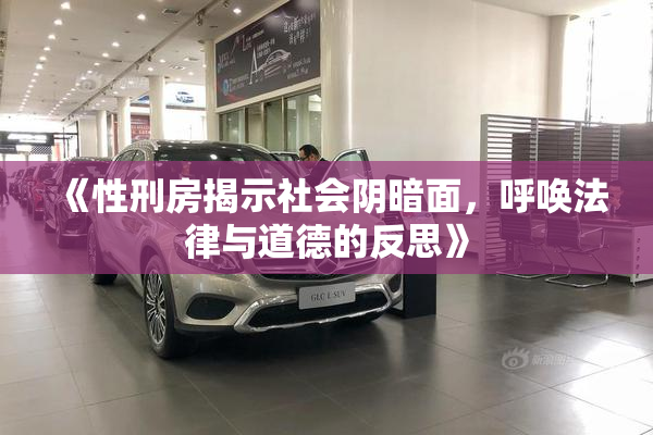 《性刑房揭示社会阴暗面，呼唤法律与道德的反思》