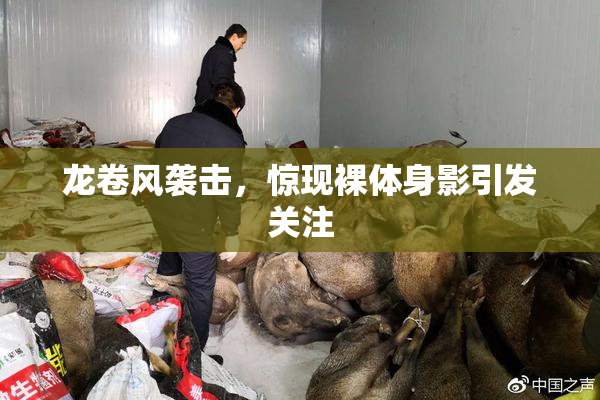龙卷风袭击，惊现裸体身影引发关注