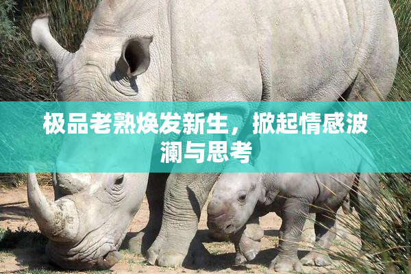 极品老熟焕发新生，掀起情感波澜与思考