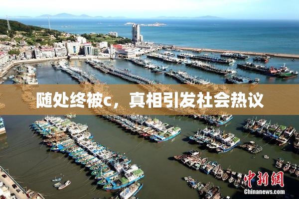 随处终被c，真相引发社会热议