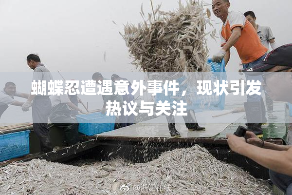 蝴蝶忍遭遇意外事件，现状引发热议与关注