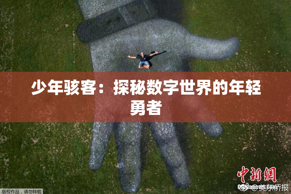 少年骇客：探秘数字世界的年轻勇者