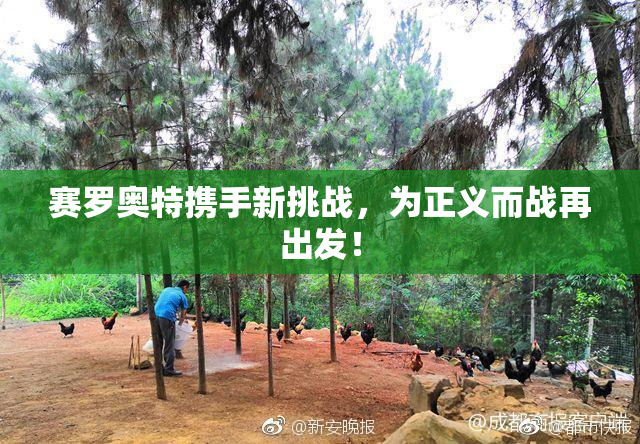 赛罗奥特携手新挑战，为正义而战再出发！