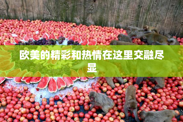 欧美的精彩和热情在这里交融尽显