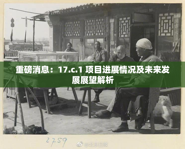 重磅消息：17.c.1 项目进展情况及未来发展展望解析