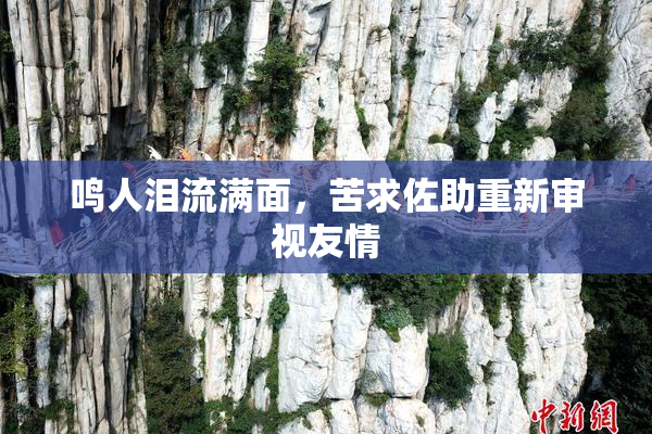 鸣人泪流满面，苦求佐助重新审视友情