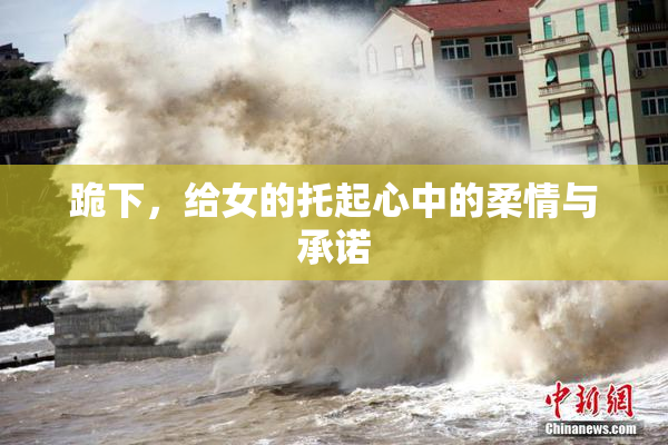 跪下，给女的托起心中的柔情与承诺