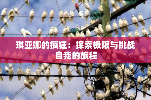 琪亚娜的疯狂：探索极限与挑战自我的旅程