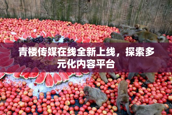 青楼传媒在线全新上线，探索多元化内容平台