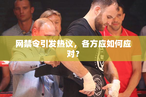 网禁令引发热议，各方应如何应对？