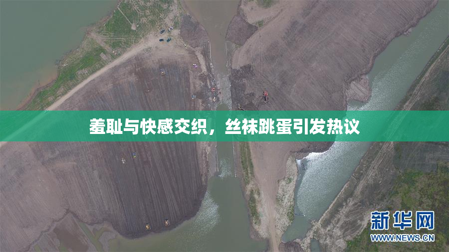 羞耻与快感交织，丝袜跳蛋引发热议