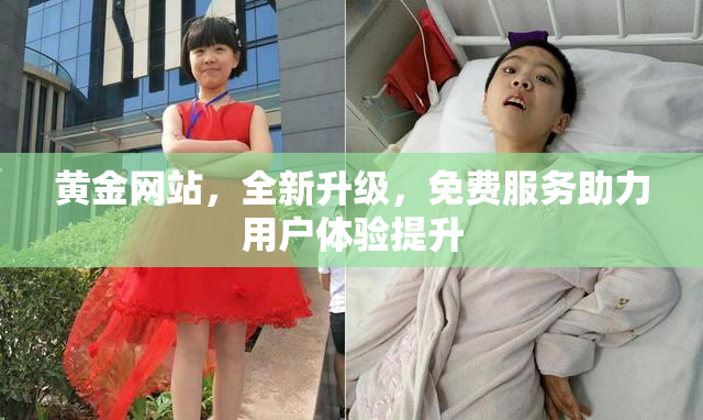 黄金网站，全新升级，免费服务助力用户体验提升