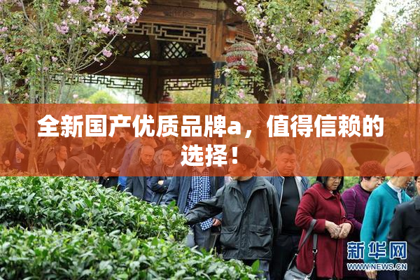 全新国产优质品牌a，值得信赖的选择！