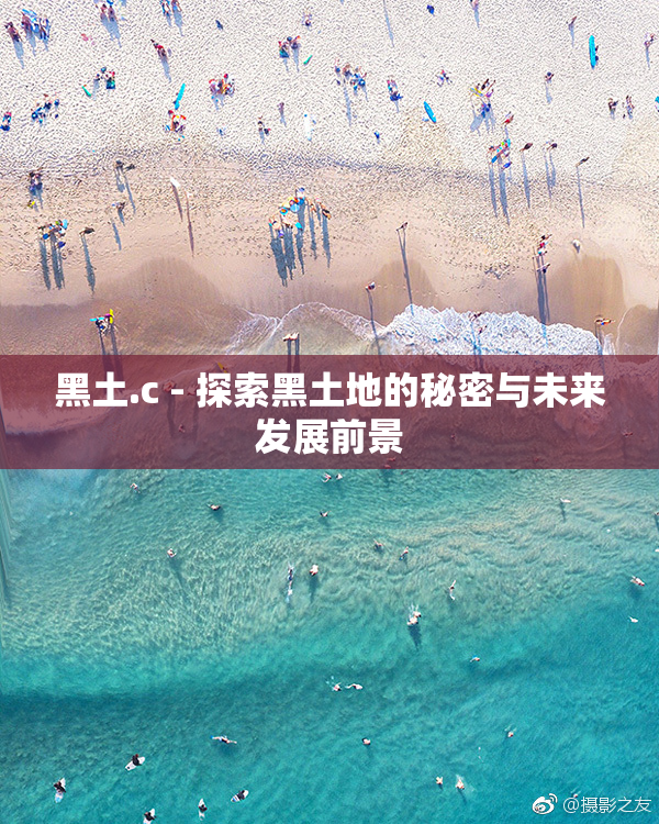 黑土.c - 探索黑土地的秘密与未来发展前景
