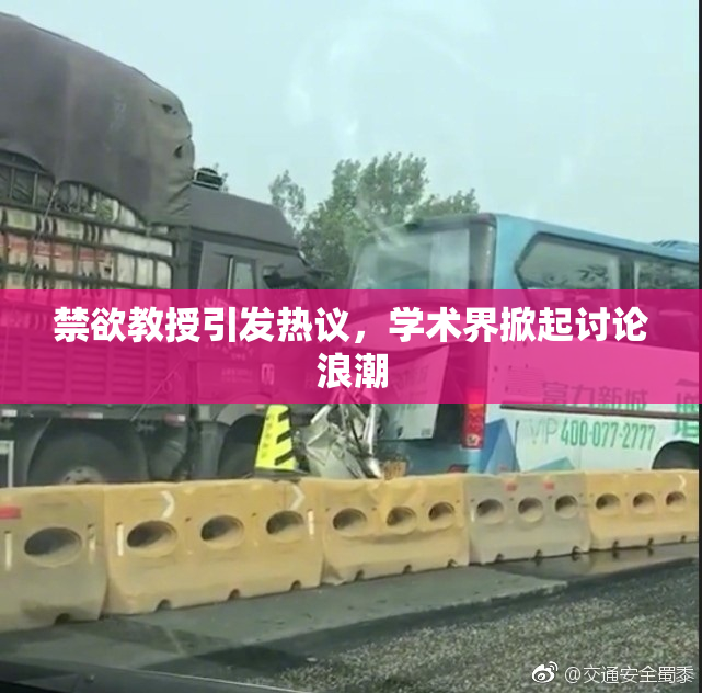 禁欲教授引发热议，学术界掀起讨论浪潮