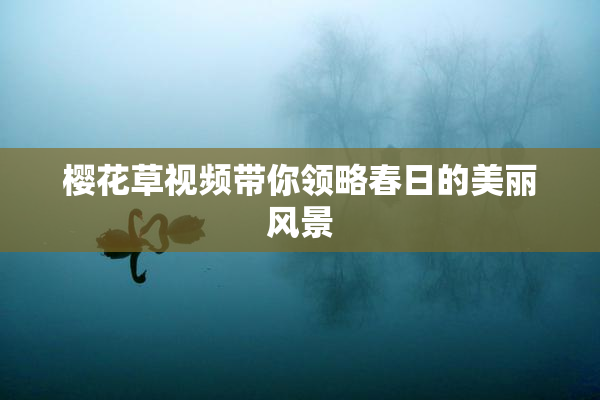 樱花草视频带你领略春日的美丽风景
