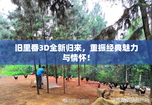旧里番3D全新归来，重振经典魅力与情怀！