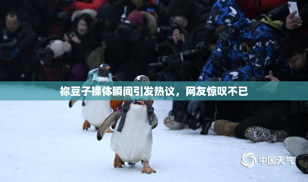 祢豆子裸体瞬间引发热议，网友惊叹不已