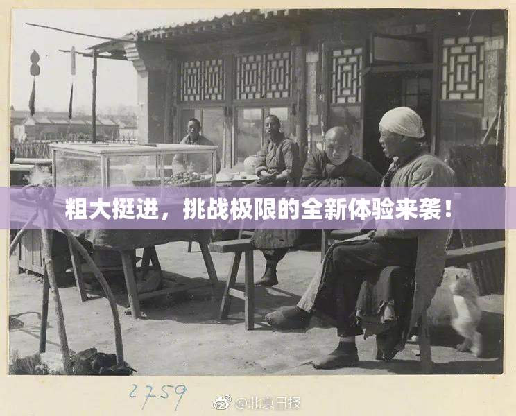 粗大挺进，挑战极限的全新体验来袭！