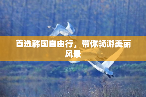 首选韩国自由行，带你畅游美丽风景